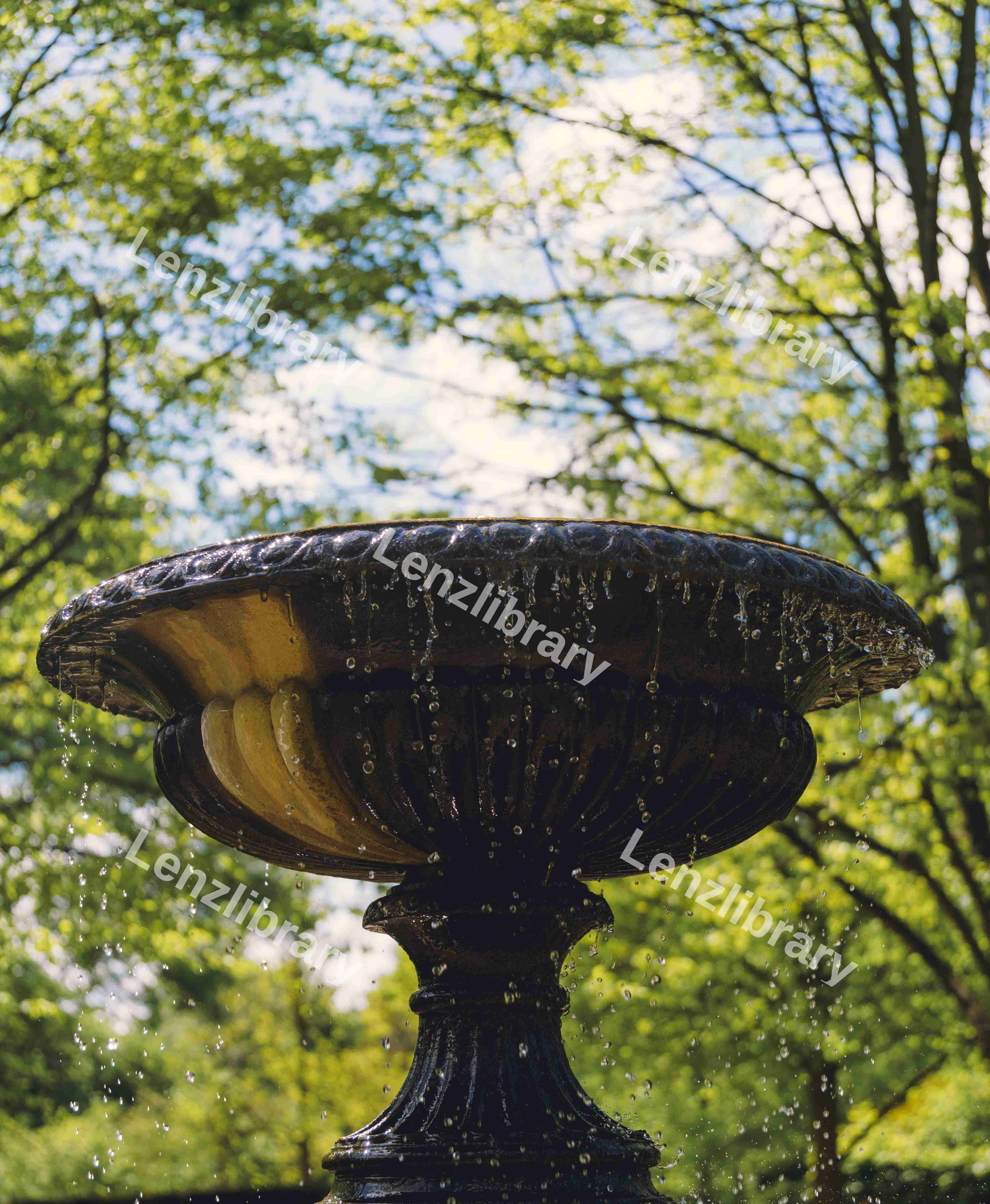 Fountain Top